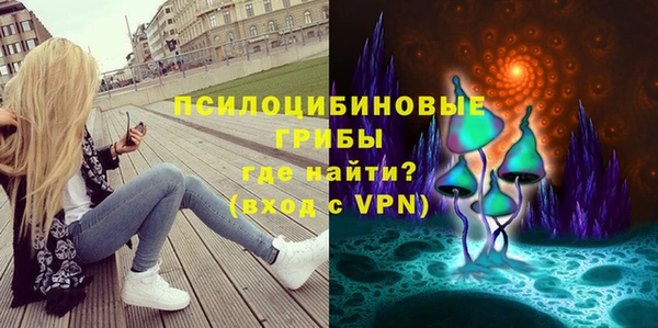 СК Михайлов
