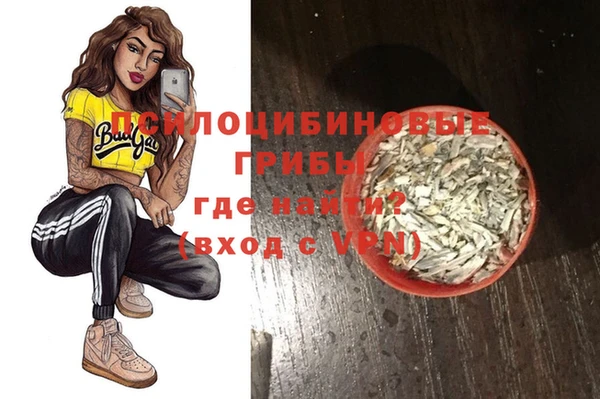 PSILOCYBIN Медногорск