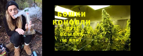 дживик Долгопрудный